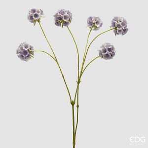 Ramo de 6 Scabiosas - EDG - Altura 66cm - Lavanda