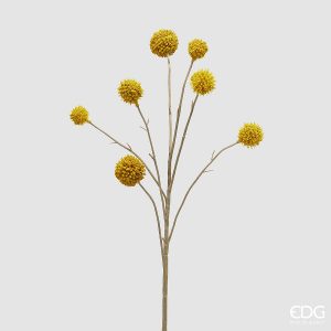 Ramo de 7 Craspedias - EDG - Altura 65cm - Amarelo