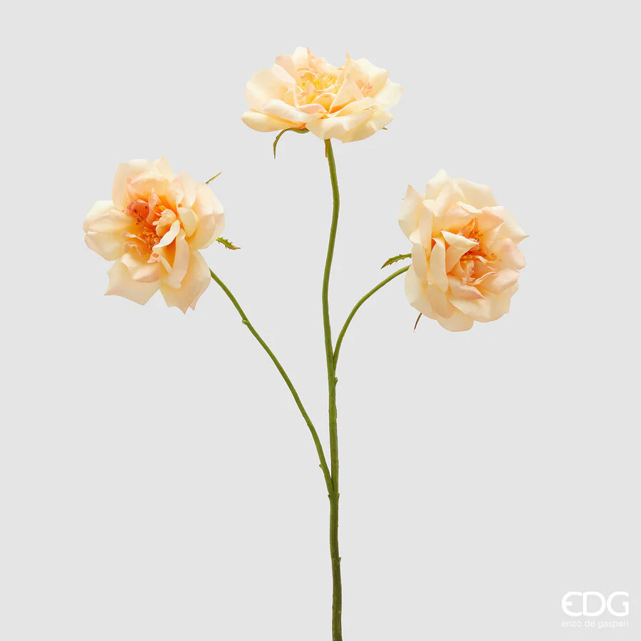 Aste Rosa x3 - Cor Pêssego - EDG- 65 cm