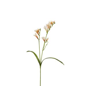 Aste frésia - Creme e Laranja - EDG- 65 cm