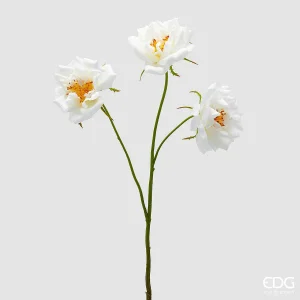 Aste Rosa x3 - Branco - EDG- 65 cm